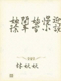 她开始慢迎迎合徐平雪小说封面