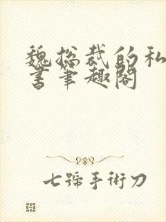 魏总裁的私人秘书笔趣阁