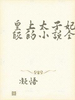 皇上太子妃沈皎皎的小说全文免费阅读封面