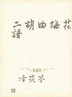 二胡曲梅花泪简谱