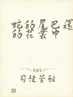 蛇的尾巴还在我的花丛中