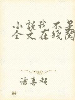 小说我不是戏神全文在线阅读封面