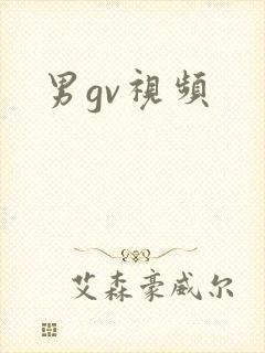 男gv视频封面