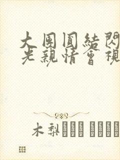 大团圆结闪闪发光亲情会视频