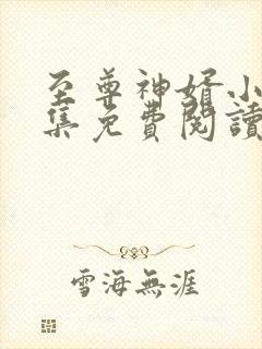 至尊神婿小说全集免费阅读