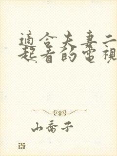 适合夫妻二人一起看的电视剧