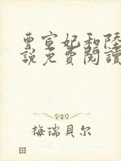 曹宣妃和陆尘小说免费阅读