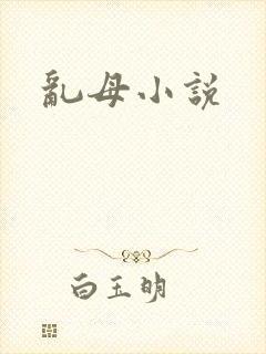 乱母小说