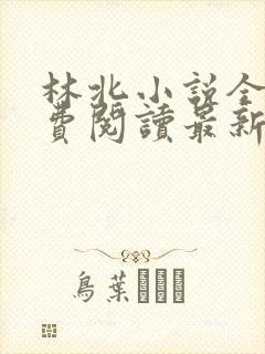 林北小说全文免费阅读最新章节