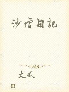 沙僧日记封面
