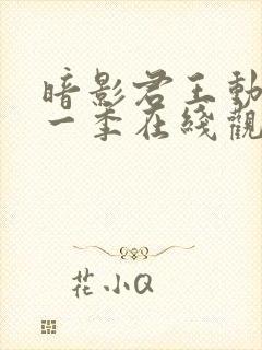 暗影君王动漫第一季在线观看