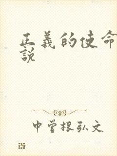 正义的使命 小说