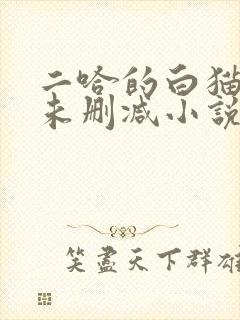 二哈的白猫师尊未删减小说