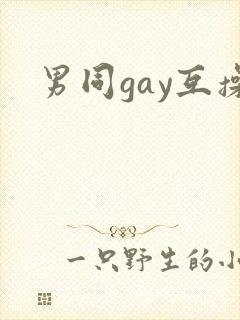 男同gay互操