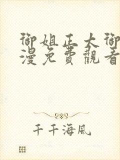 御姐正太御姐动漫免费观看全集完整版封面