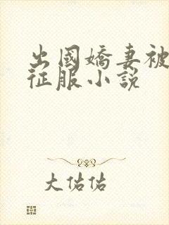 出国娇妻被黑人征服小说封面