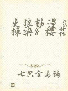 火狼动漫《夜勤栋梁》樱花全集