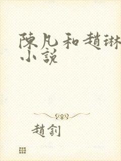 陈凡和赵琳琳的小说