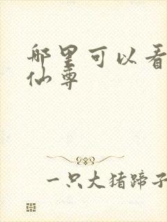 哪里可以看大爱仙尊