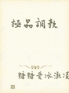 极品调教