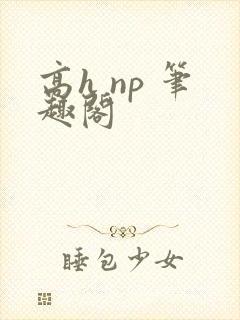 高h np 笔趣阁封面