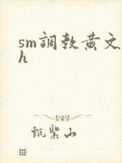 sm调教黄文高h
