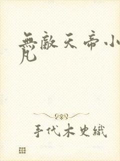 无敌天帝小说叶凡