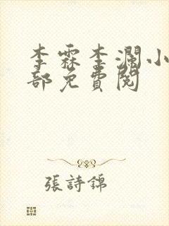 李霖李澜小说全部免费阅