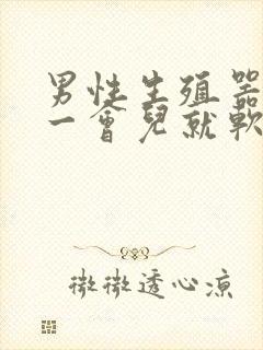 男性生殖器勃起一会儿就软了是怎么回事?