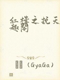 红楼之挽天倾笔趣阁