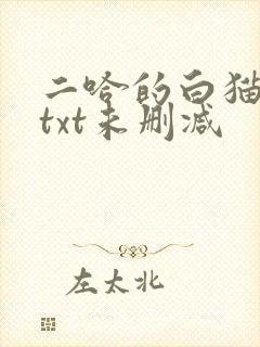 二哈的白猫师尊txt未删减