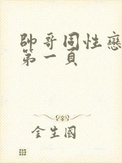 帅哥同性恋视频第一页