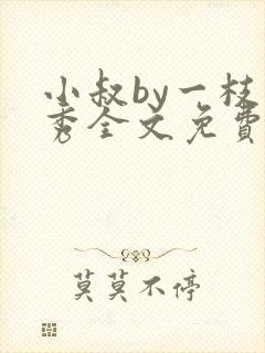 小叔by一枝独秀全文免费阅读笔趣阁最