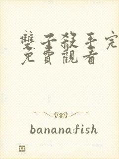 双子杀手完整版免费观看封面