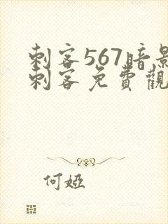 刺客567暗影刺客免费观看