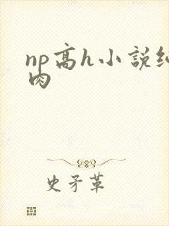 np高h小说纯肉