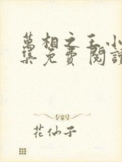 万相之王小说全集免费 阅读