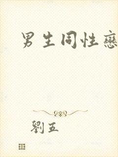 男生同性恋互操