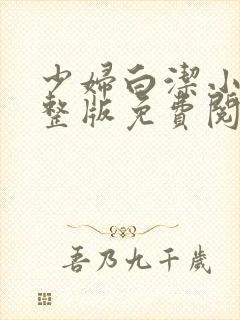 少妇白洁小说完整版免费阅读