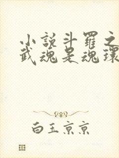 小说斗罗之我的武魂是魂环