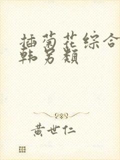 插菊花综合网日韩另类