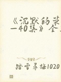 《沉默的荣耀1—40集》全集免费观看封面