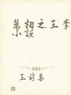 万相之王李洛的小说