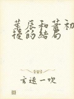 叶辰和萧初然最后的结局封面