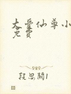 大爱仙尊小说版免费