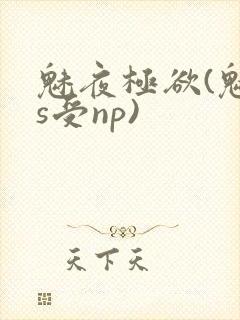魅夜极欲(魅魔s受np)