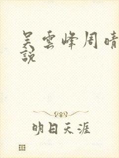 吴云峰周晴的小说