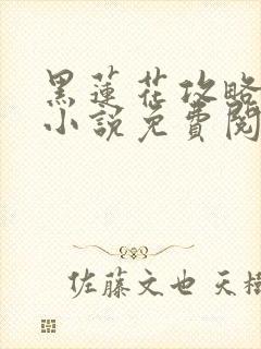 黑莲花攻略手册小说免费阅读全文