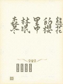 森林里的熊先生冬眠中樱花动漫