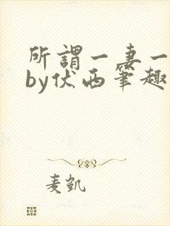 所谓一妻一夫制by伏西笔趣阁